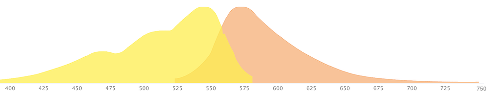 dsred excitation and emission