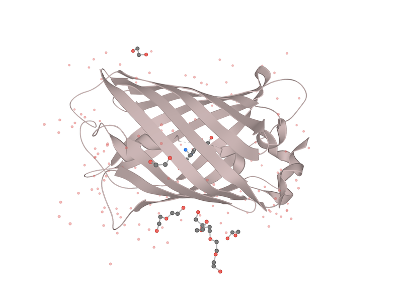 How to Detect Hyperfolder YFP Fluorescent Protein