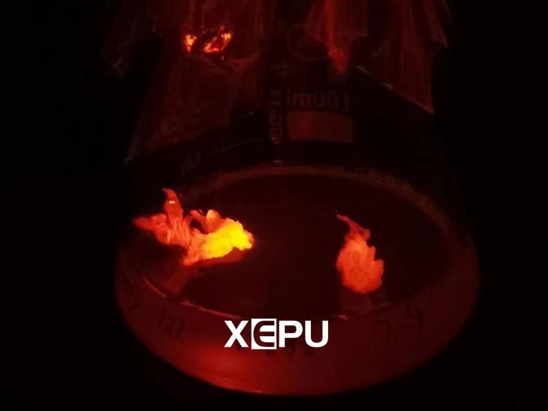 Excitation and Emission of mCherry Fluorescent Protein
