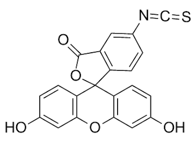 Excitation and Emission of Fluorescein Isothiocyanate FITC